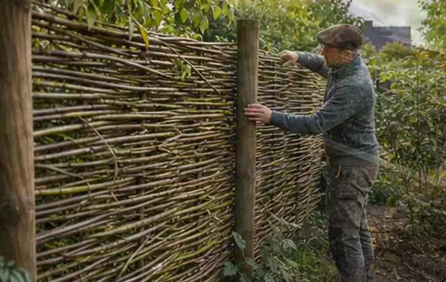 Person befestigt geflochtene Weidenruten an stabilen Holzpfosten im Garten; Thema Gartenneuanlage, Schwerpunkt Fehlerhilfe; Kontrolle.