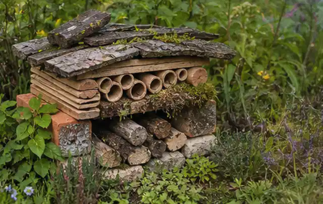 Naturnaher Unterschlupf aus Holz Rinde und Pflanzenstängeln im Garten; Thema Gartenneuanlage, Schwerpunkt Planung; Umsetzung.