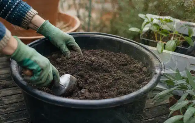 Behandschuhte Hände bereiten lockere Pflanzerde in einem großen Kübel vor; Thema Gartenpflanzen, Schwerpunkt Bewässerung; Praxisalltag.