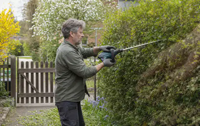 Person schneidet eine Gartenhecke mit einem motorisierten Gartengerät; Thema Gartenpumpen, Schwerpunkt Bestenliste; Ausgangslage.