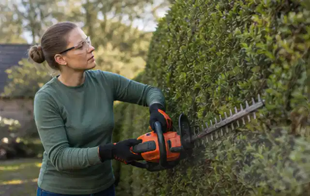 Person schneidet eine dichte Gartenhecke mit Schutzbrille und sicherem Stand; Thema Gartenpumpen, Schwerpunkt Bestenliste; Ergebnis.