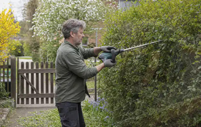 Person schneidet eine Gartenhecke mit einem motorisierten Gartengerät; Thema Gartenpumpen, Schwerpunkt Checkliste; Praxisalltag.