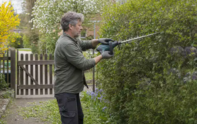 Person schneidet eine Gartenhecke mit einem motorisierten Gartengerät; Thema Gartenpumpen, Schwerpunkt Ersatzteile; Kontrolle.