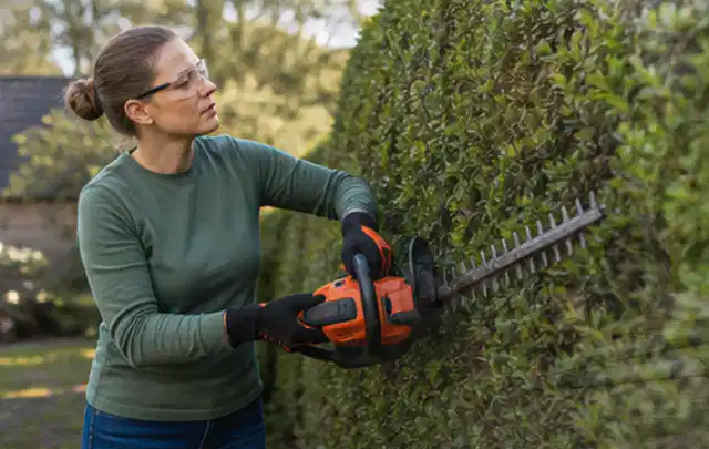 Person schneidet eine dichte Gartenhecke mit Schutzbrille und sicherem Stand; Thema Gartenpumpen, Schwerpunkt Fehlerhilfe; Ausgangslage.