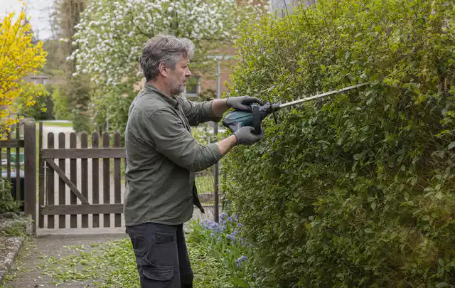 Person schneidet eine Gartenhecke mit einem motorisierten Gartengerät; Thema Gartenpumpen, Schwerpunkt Fehlerhilfe; Ergebnis.