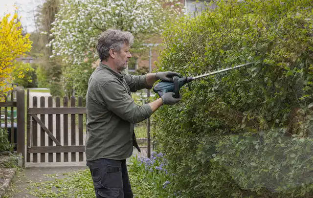 Person schneidet eine Gartenhecke mit einem motorisierten Gartengerät; Thema Gartenpumpen, Schwerpunkt Gärten mit großer Fläche; Ausgangslage.