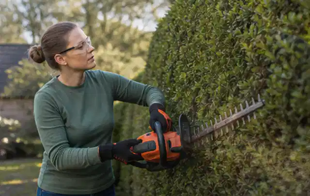Person schneidet eine dichte Gartenhecke mit Schutzbrille und sicherem Stand; Thema Gartenpumpen, Schwerpunkt Gärten mit kleiner Fläche; Praxisalltag.