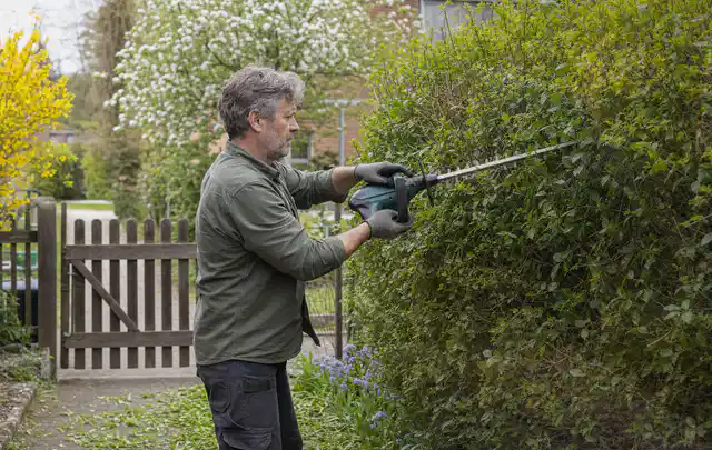 Person schneidet eine Gartenhecke mit einem motorisierten Gartengerät; Thema Gartenpumpen, Schwerpunkt Gartengeräte; Umsetzung.