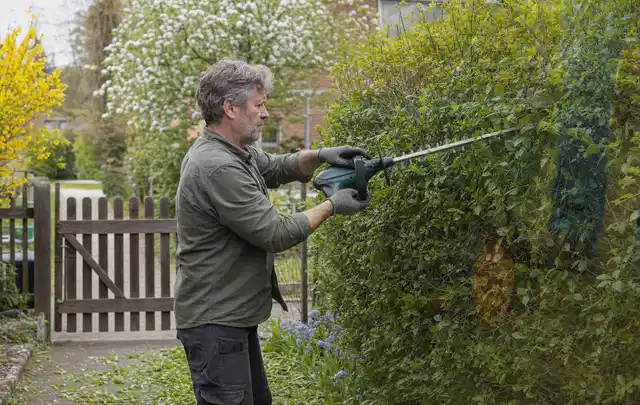 Person schneidet eine Gartenhecke mit einem motorisierten Gartengerät; Thema Gartenpumpen, Schwerpunkt Kaufberatung; Ergebnis.
