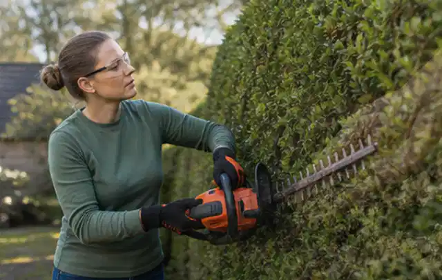 Person schneidet eine dichte Gartenhecke mit Schutzbrille und sicherem Stand; Thema Gartenpumpen, Schwerpunkt Kaufberatung; Praxisalltag.