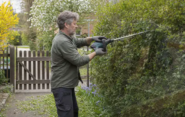 Person schneidet eine Gartenhecke mit einem motorisierten Gartengerät; Thema Gartenpumpen, Schwerpunkt Kosten; Ausgangslage.
