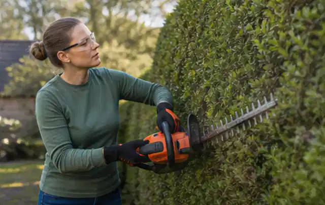 Person schneidet eine dichte Gartenhecke mit Schutzbrille und sicherem Stand; Thema Gartenpumpen, Schwerpunkt Kosten; Ergebnis.