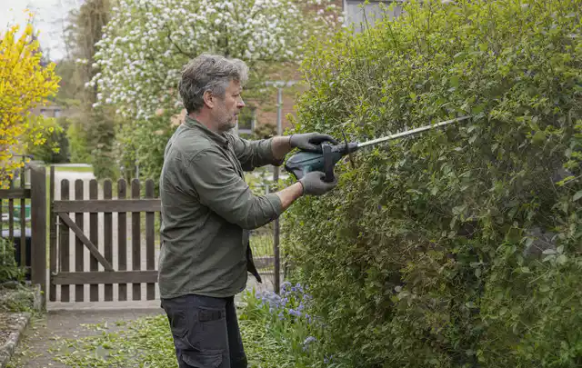 Person schneidet eine Gartenhecke mit einem motorisierten Gartengerät; Thema Gartenpumpen, Schwerpunkt Leistung; Ausgangslage.