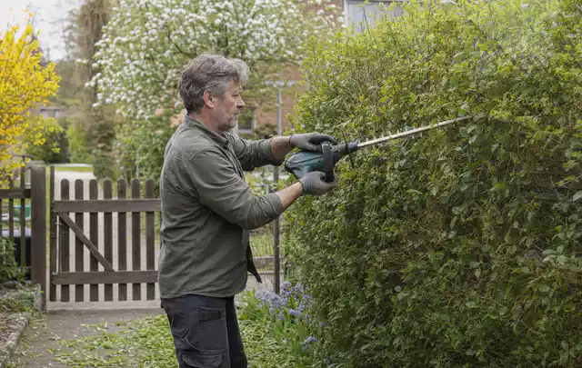 Person schneidet eine Gartenhecke mit einem motorisierten Gartengerät; Thema Gartenpumpen, Schwerpunkt Nachhaltigkeit; Umsetzung.