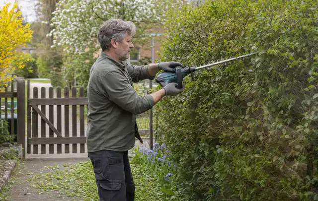 Person schneidet eine Gartenhecke mit einem motorisierten Gartengerät; Thema Gartenpumpen, Schwerpunkt Reinigung; Kontrolle.