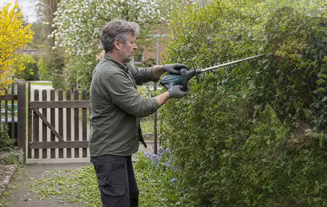 Person schneidet eine Gartenhecke mit einem motorisierten Gartengerät; Thema Gartenpumpen, Schwerpunkt Reparatur; Kontrolle.
