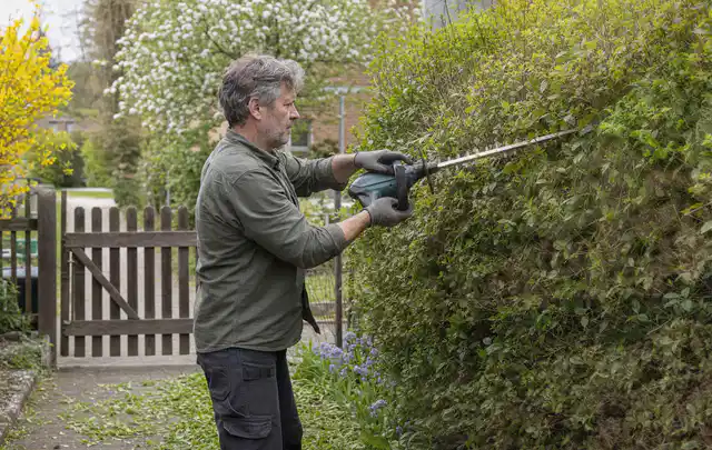 Person schneidet eine Gartenhecke mit einem motorisierten Gartengerät; Thema Gartenpumpen, Schwerpunkt Sicherheit; Umsetzung.