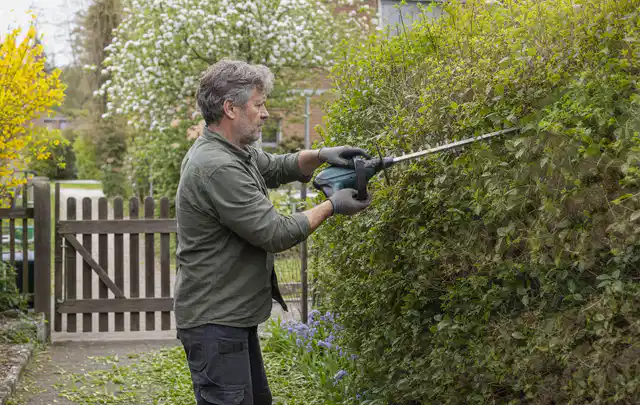 Person schneidet eine Gartenhecke mit einem motorisierten Gartengerät; Thema Gartenpumpen, Schwerpunkt Systemvergleich; Kontrolle.