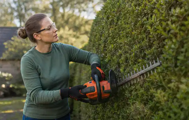 Person schneidet eine dichte Gartenhecke mit Schutzbrille und sicherem Stand; Thema Gartenpumpen, Schwerpunkt Systemvergleich; Ergebnis.