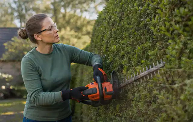 Person schneidet eine dichte Gartenhecke mit Schutzbrille und sicherem Stand; Thema Gartenpumpen, Schwerpunkt Testkriterien; Kontrolle.