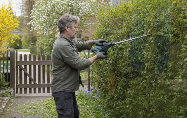 Person schneidet eine Gartenhecke mit einem motorisierten Gartengerät; Thema Gartenpumpen, Schwerpunkt Vergleich; Umsetzung.