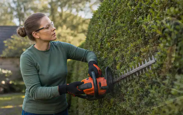 Person schneidet eine dichte Gartenhecke mit Schutzbrille und sicherem Stand; Thema Gartenpumpen, Schwerpunkt Vergleich; Praxisalltag.