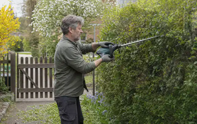 Person schneidet eine Gartenhecke mit einem motorisierten Gartengerät; Thema Gartenpumpen, Schwerpunkt Wartung; Praxisalltag.