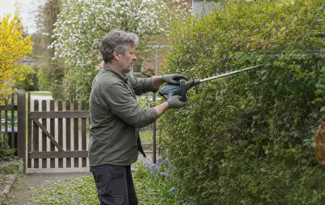 Person schneidet eine Gartenhecke mit einem motorisierten Gartengerät; Thema Gartenpumpen, Schwerpunkt Winterlager; Ausgangslage.