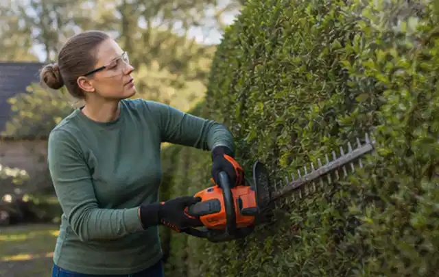Person schneidet eine dichte Gartenhecke mit Schutzbrille und sicherem Stand; Thema Gartenscheren, Schwerpunkt Bestenliste; Ergebnis.