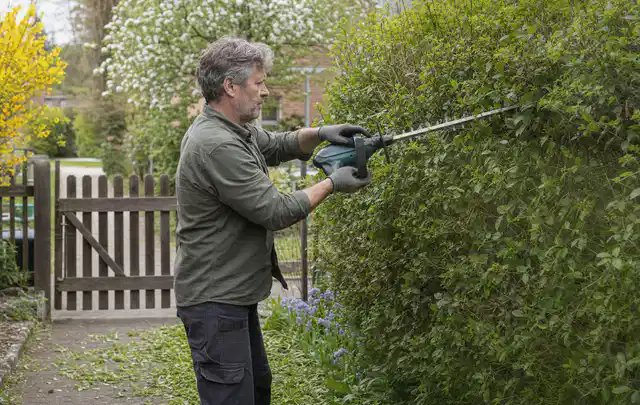 Person schneidet eine Gartenhecke mit einem motorisierten Gartengerät; Thema Gartenscheren, Schwerpunkt Bestenliste; Praxisalltag.