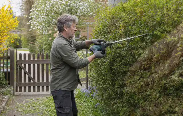 Person schneidet eine Gartenhecke mit einem motorisierten Gartengerät; Thema Gartenscheren, Schwerpunkt Checkliste; Ergebnis.