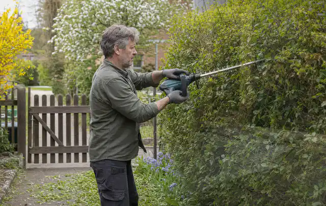 Person schneidet eine Gartenhecke mit einem motorisierten Gartengerät; Thema Gartenscheren, Schwerpunkt Dimensionierung; Praxisalltag.