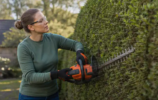 Person schneidet eine dichte Gartenhecke mit Schutzbrille und sicherem Stand; Thema Gartenscheren, Schwerpunkt Fehlerhilfe; Umsetzung.