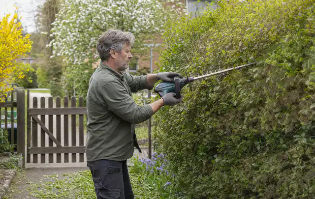 Person schneidet eine Gartenhecke mit einem motorisierten Gartengerät; Thema Gartenscheren, Schwerpunkt Fehlerhilfe; Ergebnis.