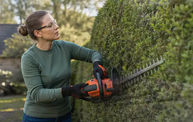 Person schneidet eine dichte Gartenhecke mit Schutzbrille und sicherem Stand; Thema Gartenscheren, Schwerpunkt Gärten mit großer Fläche; Kontrolle.