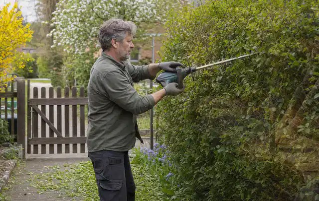 Person schneidet eine Gartenhecke mit einem motorisierten Gartengerät; Thema Gartenscheren, Schwerpunkt Gärten mit großer Fläche; Ergebnis.