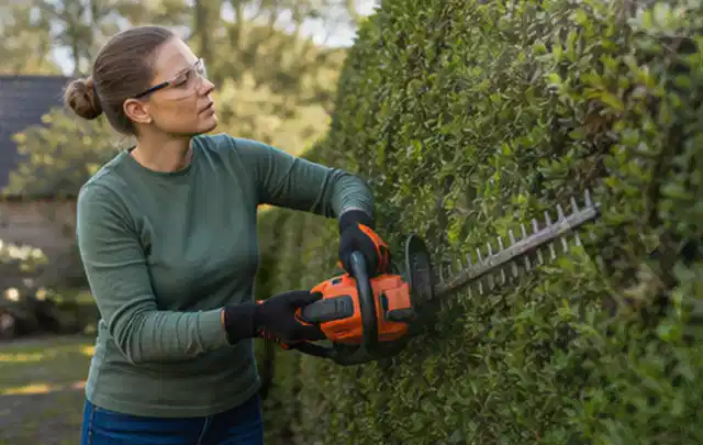 Person schneidet eine dichte Gartenhecke mit Schutzbrille und sicherem Stand; Thema Gartenscheren, Schwerpunkt Gärten mit kleiner Fläche; Kontrolle.