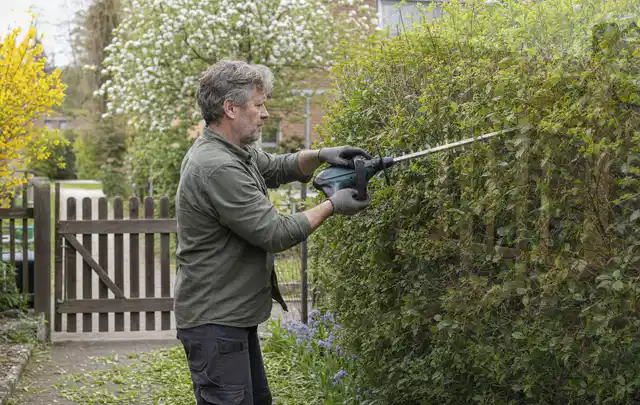 Person schneidet eine Gartenhecke mit einem motorisierten Gartengerät; Thema Gartenscheren, Schwerpunkt Gärten mit kleiner Fläche; Ergebnis.