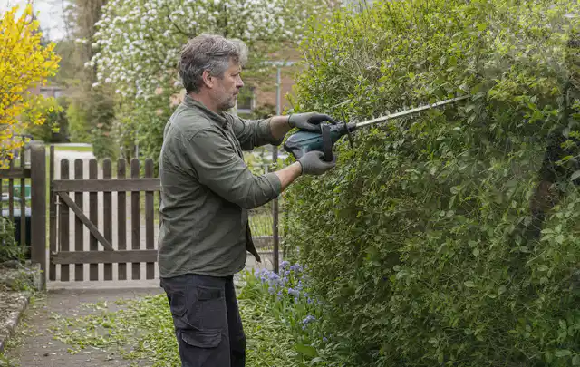 Person schneidet eine Gartenhecke mit einem motorisierten Gartengerät; Thema Gartenscheren, Schwerpunkt Gartengeräte; Umsetzung.
