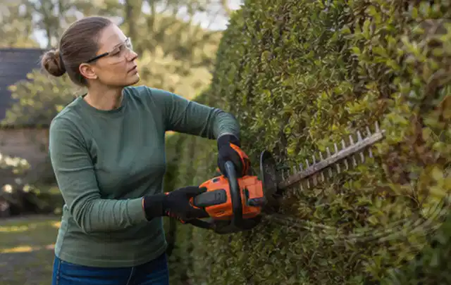 Person schneidet eine dichte Gartenhecke mit Schutzbrille und sicherem Stand; Thema Gartenscheren, Schwerpunkt Gartengeräte; Ergebnis.
