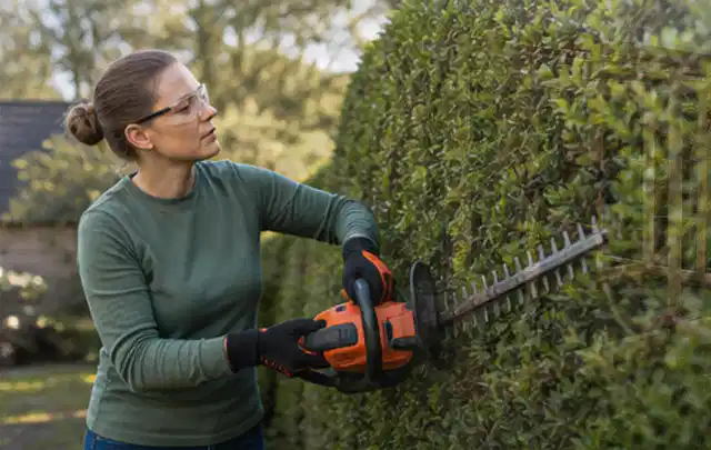 Person schneidet eine dichte Gartenhecke mit Schutzbrille und sicherem Stand; Thema Gartenscheren, Schwerpunkt Kaufberatung; Praxisalltag.