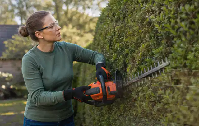 Person schneidet eine dichte Gartenhecke mit Schutzbrille und sicherem Stand; Thema Gartenscheren, Schwerpunkt Kosten; Ausgangslage.
