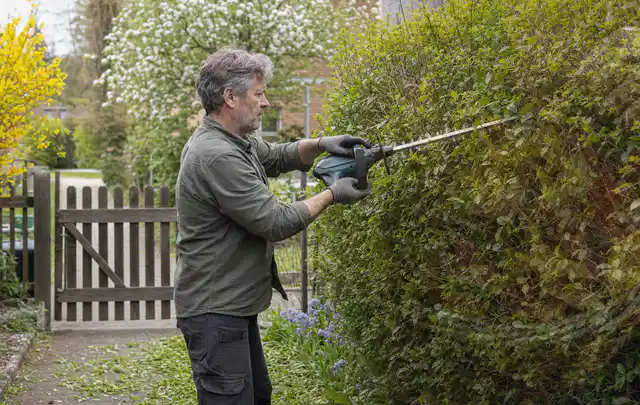 Person schneidet eine Gartenhecke mit einem motorisierten Gartengerät; Thema Gartenscheren, Schwerpunkt Kosten; Praxisalltag.