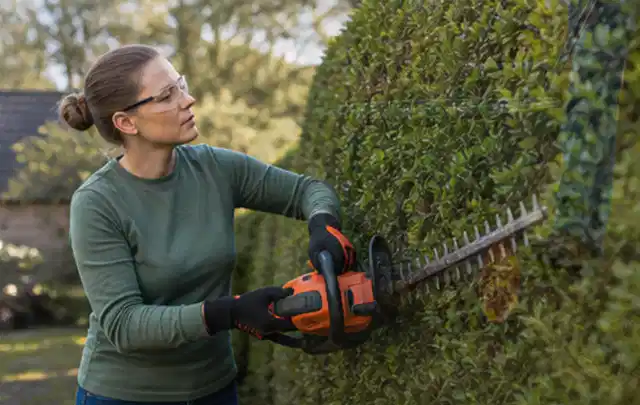 Person schneidet eine dichte Gartenhecke mit Schutzbrille und sicherem Stand; Thema Gartenscheren, Schwerpunkt Leistung; Kontrolle.