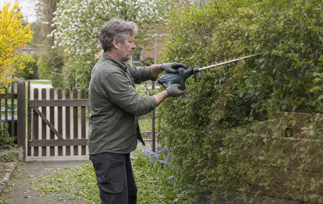 Person schneidet eine Gartenhecke mit einem motorisierten Gartengerät; Thema Gartenscheren, Schwerpunkt Leistung; Ergebnis.