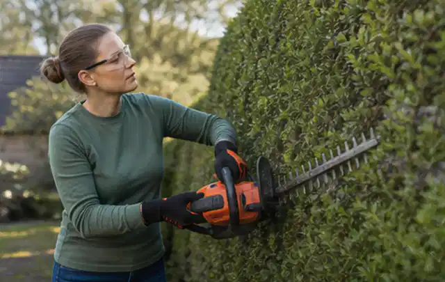 Person schneidet eine dichte Gartenhecke mit Schutzbrille und sicherem Stand; Thema Gartenscheren, Schwerpunkt Nachhaltigkeit; Kontrolle.