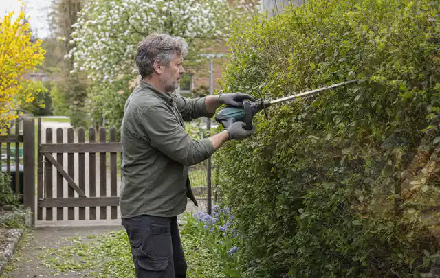 Person schneidet eine Gartenhecke mit einem motorisierten Gartengerät; Thema Gartenscheren, Schwerpunkt Nachhaltigkeit; Praxisalltag.