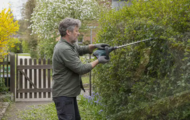 Person schneidet eine Gartenhecke mit einem motorisierten Gartengerät; Thema Gartenscheren, Schwerpunkt Reinigung; Ergebnis.