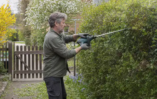 Person schneidet eine Gartenhecke mit einem motorisierten Gartengerät; Thema Gartenscheren, Schwerpunkt Sicherheit; Ausgangslage.
