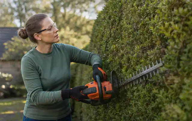 Person schneidet eine dichte Gartenhecke mit Schutzbrille und sicherem Stand; Thema Gartenscheren, Schwerpunkt Sicherheit; Ergebnis.